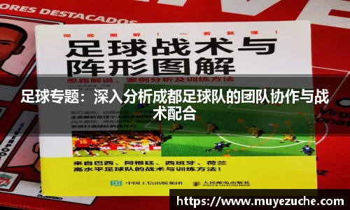 NG体育南宫注册登录